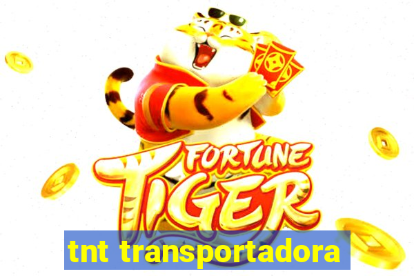 tnt transportadora